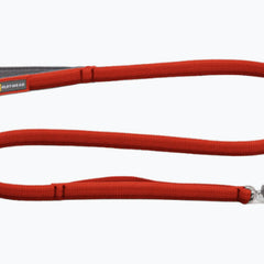 Collection image for: Leads, Collars & Harnesses