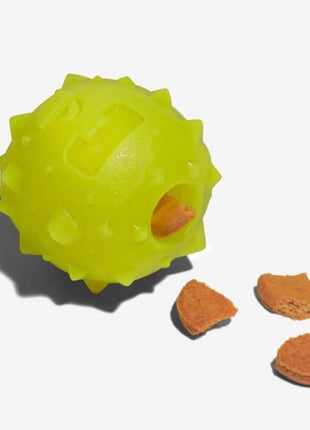 ZeeDog Rob The Microbe