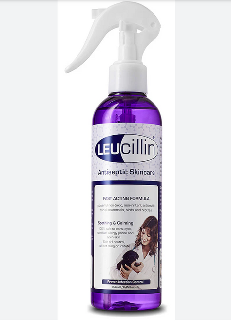 Leucillin Antiseptic 80ml