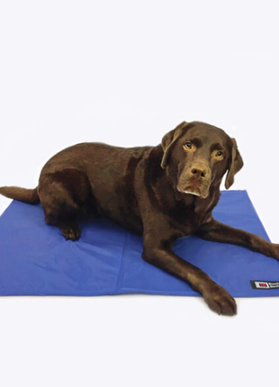Danish Designs Cooling Mattress