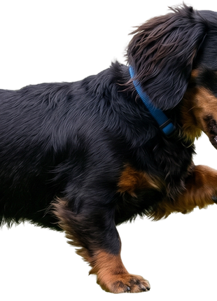 Roolo® Mini Treat Dispensing Dog Toy